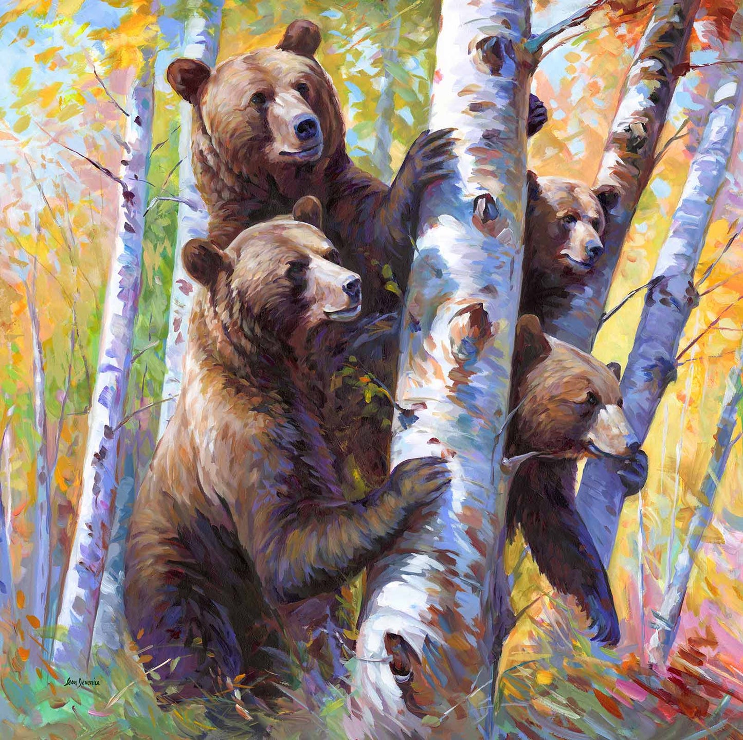 The Curious Bears among the birch trees